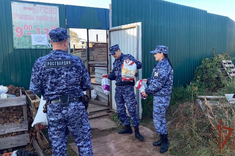  Помощь приюту для бездомных животных оказали росгвардейцы в Иркутской области