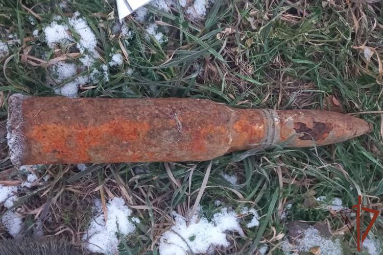 Саперы Росгвардии обезвредили боеприпасы со следами коррозии в Новосибирской области