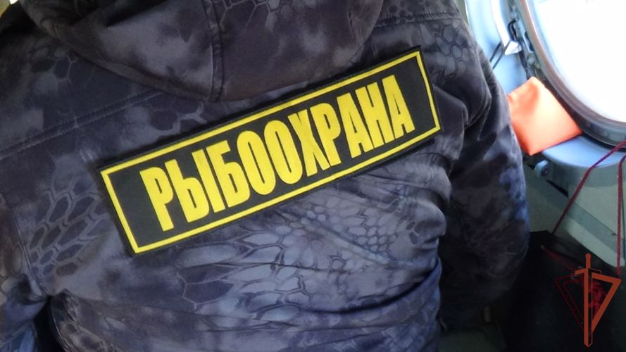  ОМОН Росгвардии принял участие в антибраконьерных рейдах на севере Карелии