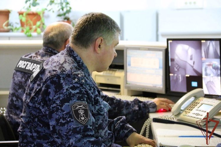 Сотрудники Росгвардии задержали подозреваемых в совершении разбойного нападения в Петербурге