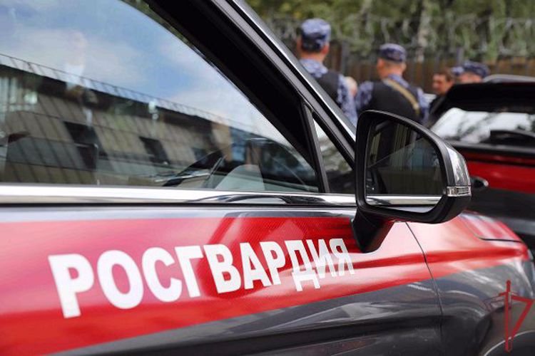 Росгвардейцы задержали подозреваемого в заведомо ложном сообщении о минировании здания в Москве (видео)