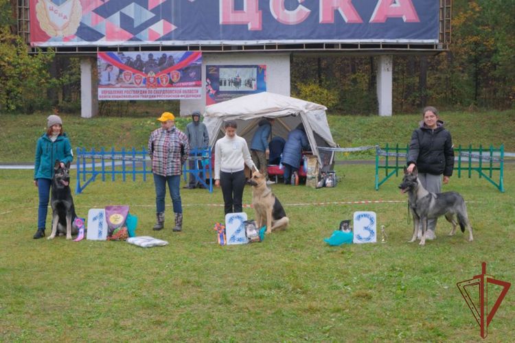 В Екатеринбурге прошла выставка овчарок памяти кинолога Росгвардии