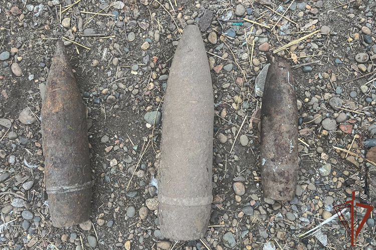 Взрывотехники Росгвардии на Кубани уничтожили 12 боеприпасов времен Великой Отечественной 