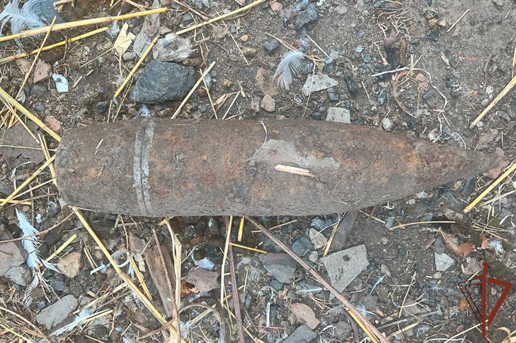Взрывотехники Росгвардии на Кубани уничтожили 12 боеприпасов времен Великой Отечественной 