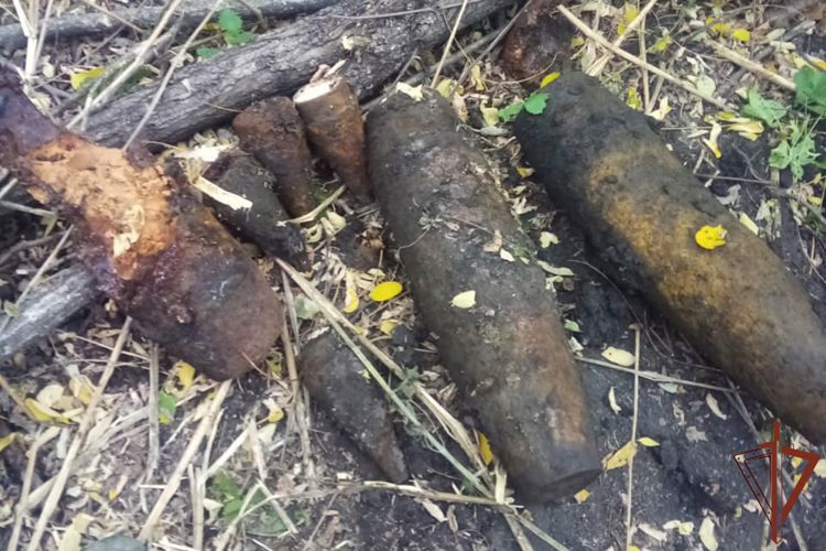 Взрывотехники Росгвардии на Кубани уничтожили 12 боеприпасов времен Великой Отечественной