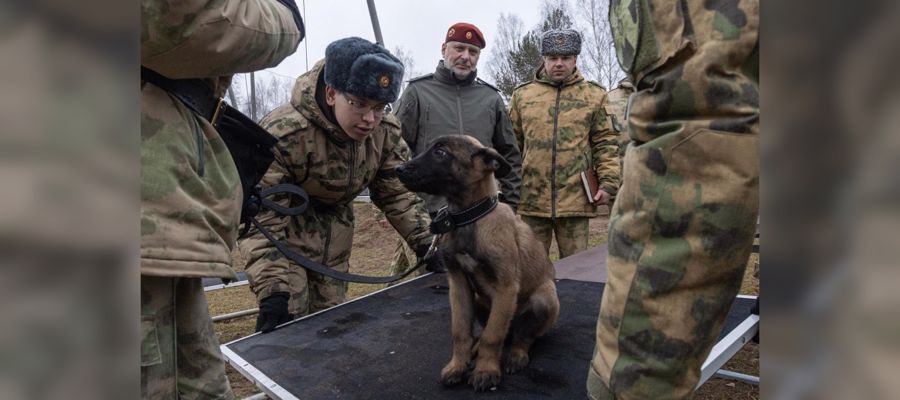 Генерал-лейтенант Алексей Воробьев совершил рабочую поездку в учебные заведения Росгвардии 