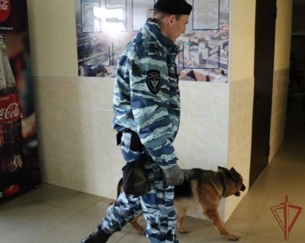 Росгвардейцы обеспечили правопорядок и безопасность спортивных мероприятий на Южном Урале