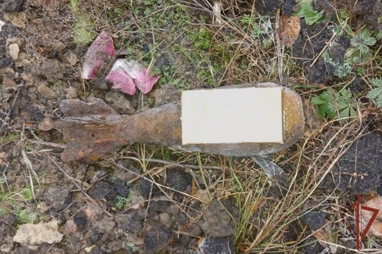 Саперы ОМОН Росгвардии в Зауралье уничтожили артиллерийский боеприпас времен Гражданской войны 