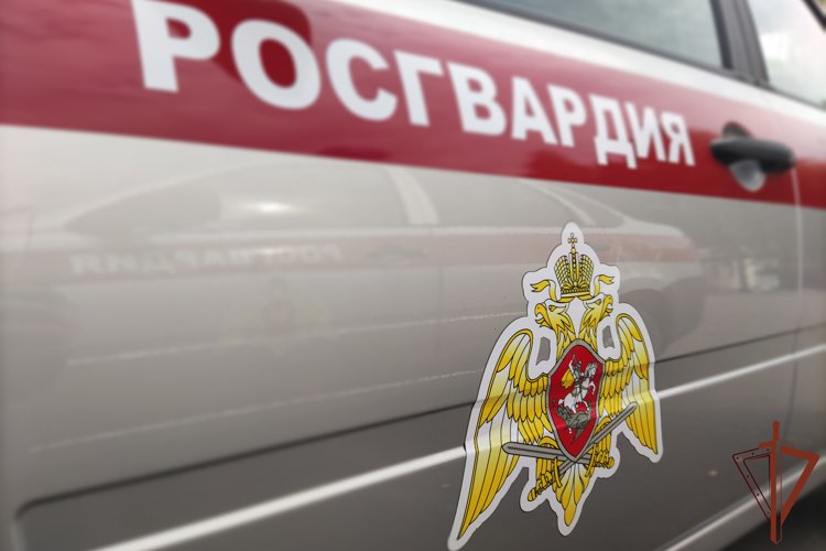 Росгвардейцы оказали помощь пострадавшему в ДТП водителю в Удмуртии