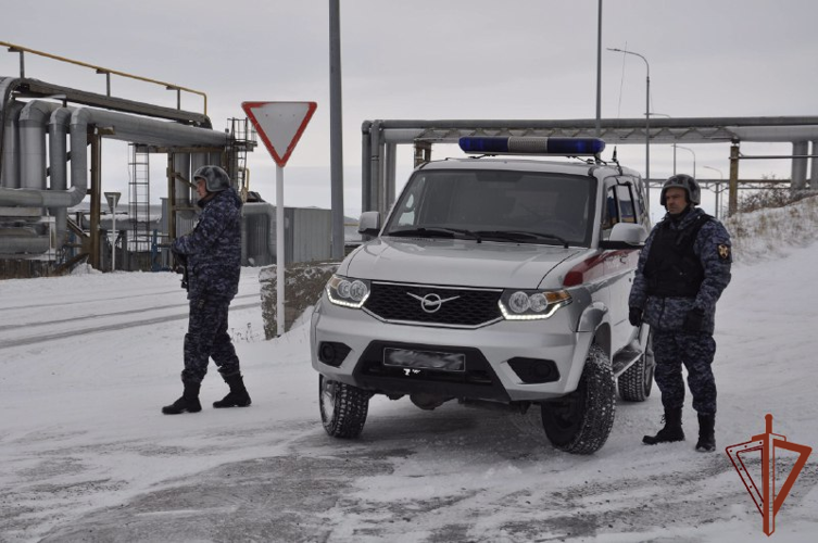 Росгвардия стоит на страже Арктического региона (видео)