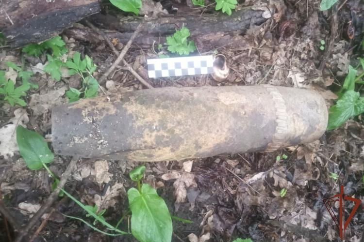 Более 120 снарядов периода Великой Отечественной войны уничтожили росгвардейцы в Краснодарском крае 