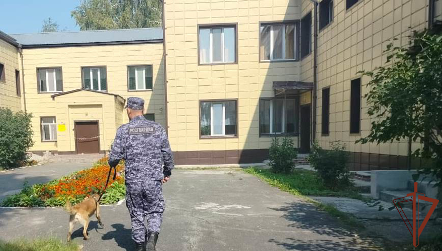 Росгвардия обеспечила безопасность мероприятий Последнего звонка на Урале