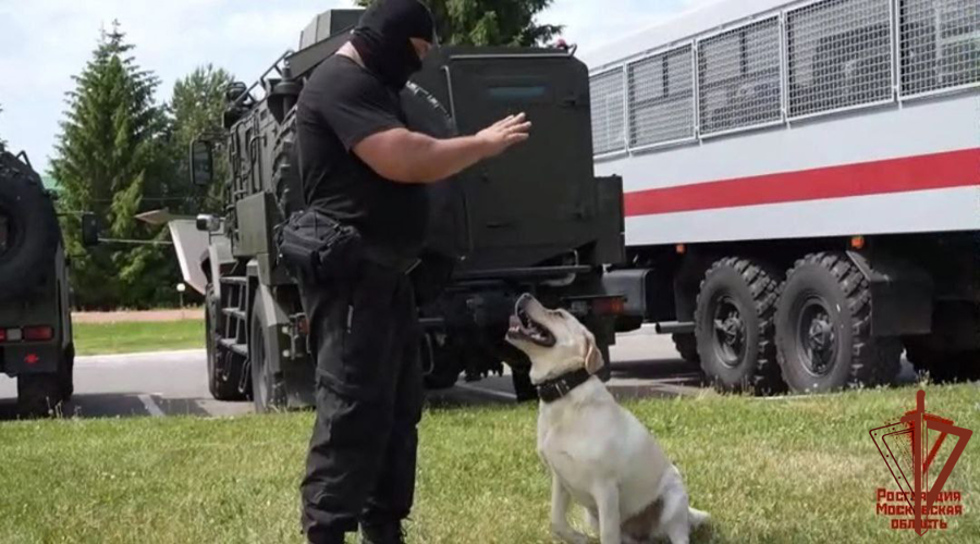 В День кинолога Росгвардии сотрудник ОМОН «Русич» рассказал об особенностях своей профессии (видео)