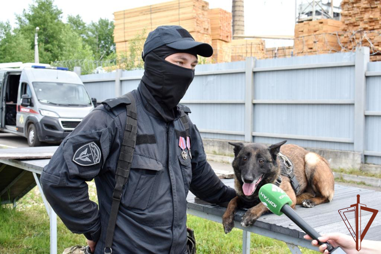 Кинологи Росгвардии в Сыктывкаре поделились с журналистами особенностями службы минно-разыскных собак (видео)