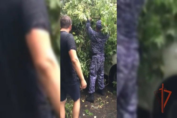 Росгвардейцы оказали помощь водителю пострадавшего во время урагана автомобиля в Москве (видео)