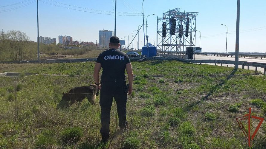 Росгвардия обеспечила безопасность масштабных фестивалей и праздничных концертов на Урале