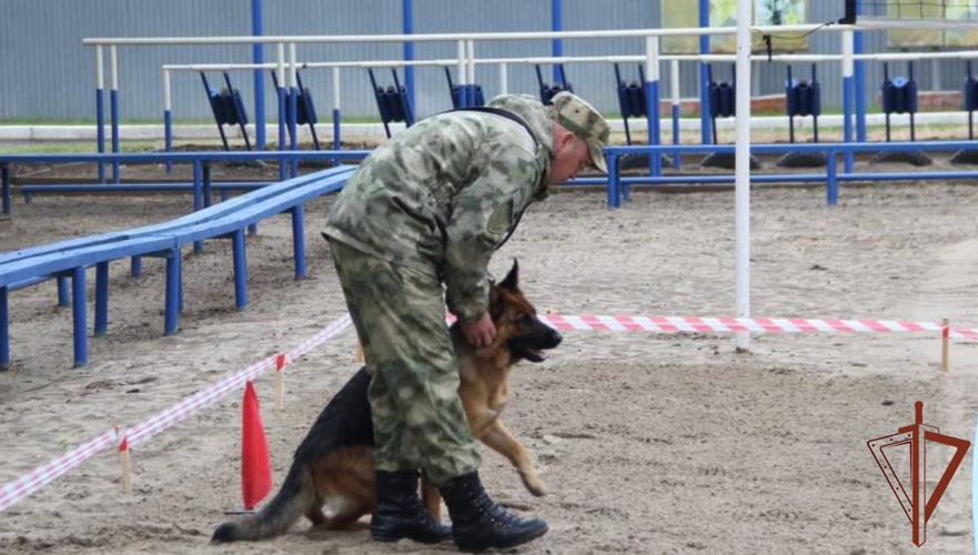 Чемпионат Уральского округа Росгвардии по многоборью кинологов завершился в Тюмени 