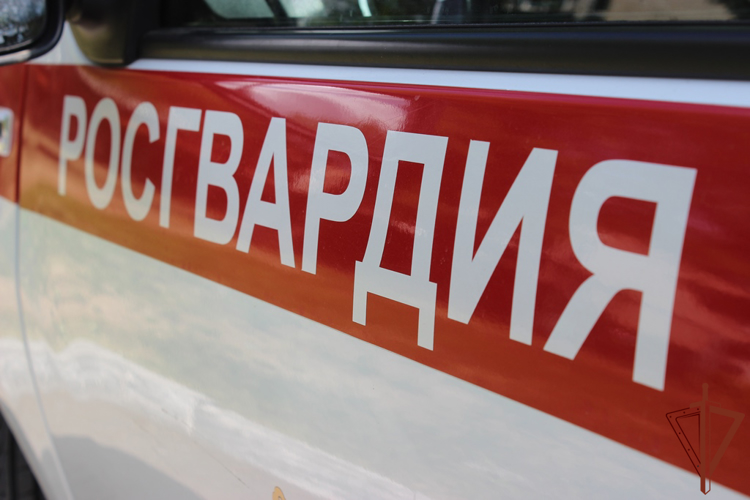 Росгвардейцы спасли застрявшую в заборе косулю в Челябинске (видео)
