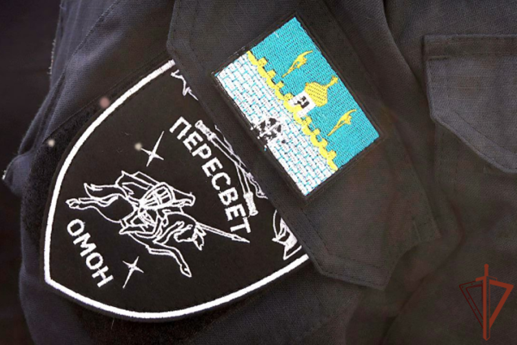 Спецназ Росгвардии задержал подозреваемую в экстремизме жительницу Подмосковья 