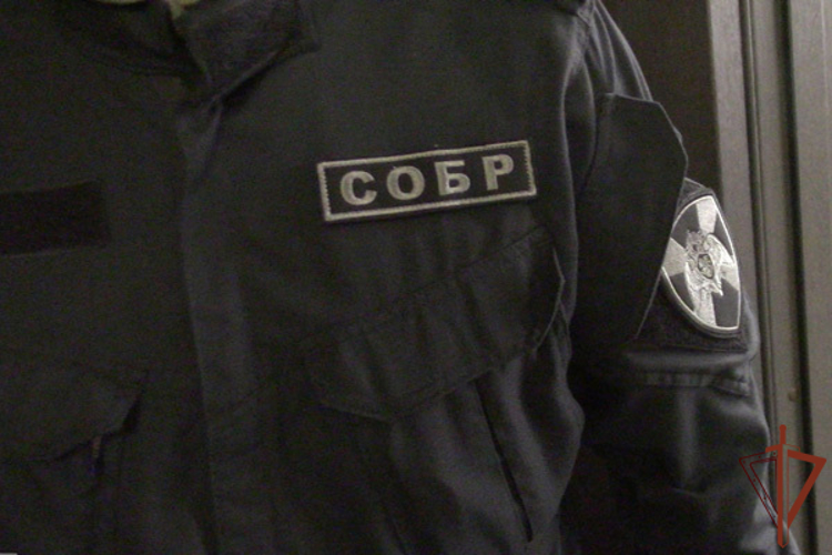 СОБР Росгвардии задержал в Ульяновске подозреваемых в незаконном присвоении 580 миллионов рублей 