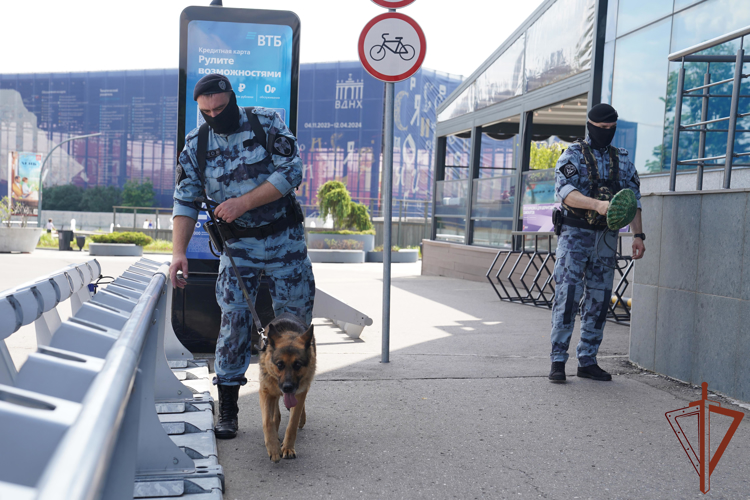 Росгвардия подвела итоги обеспечения безопасности на международной выставке-форуме «Россия»  (видео)