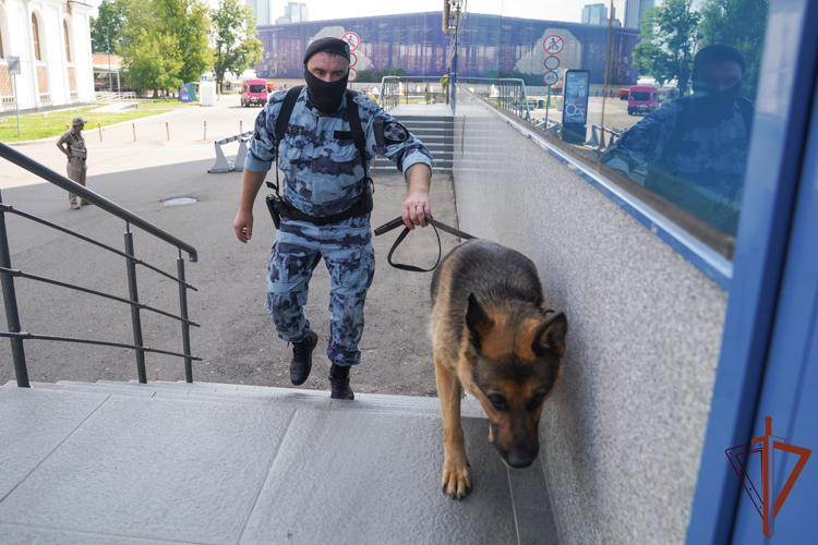 Росгвардия подвела итоги обеспечения безопасности на международной выставке-форуме «Россия»  (видео)