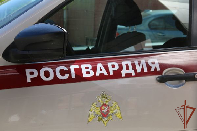 Сотрудники Росгвардии в Санкт-Петербурге разыскали и вернули отцу потерявшегося ребенка
