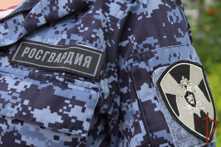 Сотрудники Росгвардии в Туле задержали мужчину, стрелявшего из пневматического пистолета 