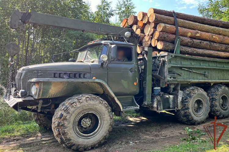 При силовой поддержке СОБР Росгвардии задержаны подозреваемые в незаконной рубке лесных насаждений