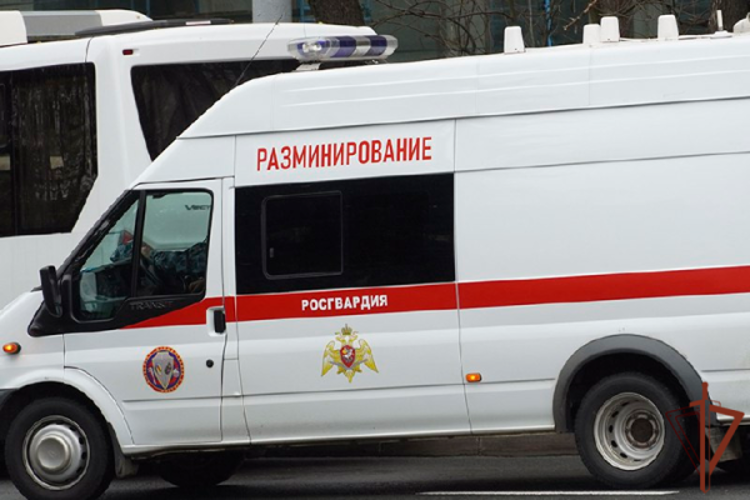 Взрывотехники Росгвардии обследовали обнаруженный в квартире в Ленинградской области боеприпас времен войны