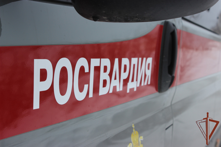 Росгвардейцы продолжают обеспечивать безопасность матчей КХЛ на Южном Урале