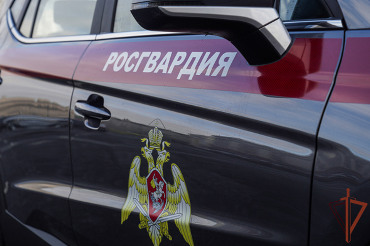 Росгвардейцы в Москве оказали помощь пенсионерке, получившей травму головы при падении (видео)