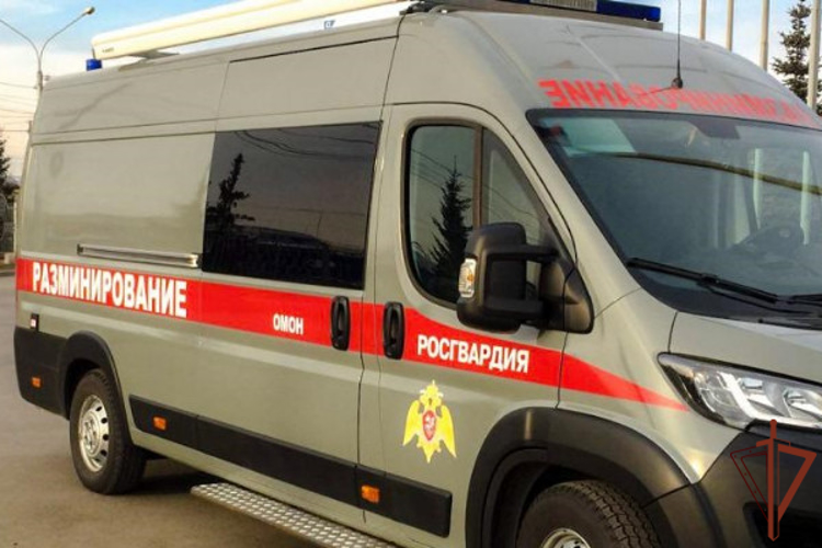 Взрывотехники Росгвардии в Северной Осетии обезвредили обнаруженную местной жительницей боевую гранату