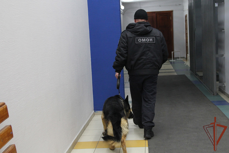 Безопасность всероссийских соревнований обеспечила Росгвардия в Тюмени