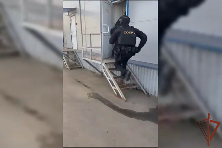 При участии столичного спецназа Росгвардии пресечено нелегальное производство и сбыт медицинских препаратов для косметологии (видео)