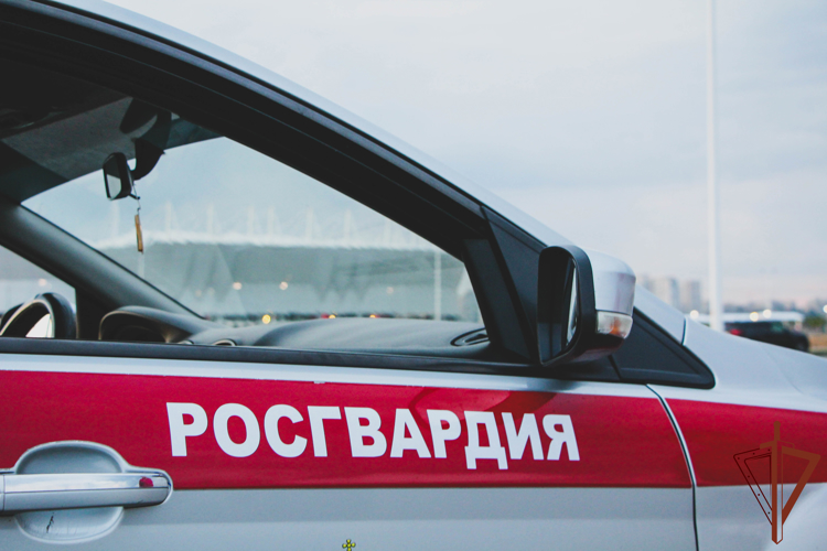 Безопасность футбольного матча 13-го тура РПЛ обеспечили росгвардейцы в Ростове-на-Дону