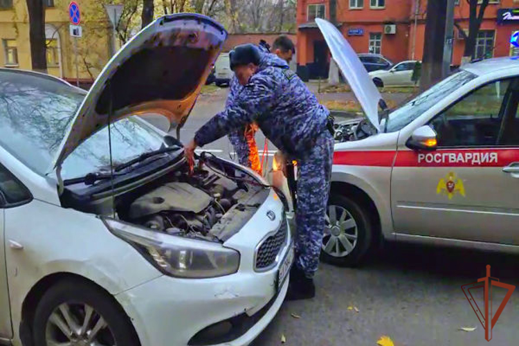 В Подмосковье сотрудники Росгвардии помогли девушке починить ее автомобиль на проезжей части (видео)