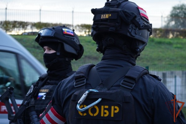 При силовой поддержке столичного спецназа Росгвардии задержан подозреваемый в мошенничестве в особо крупном размере (видео)