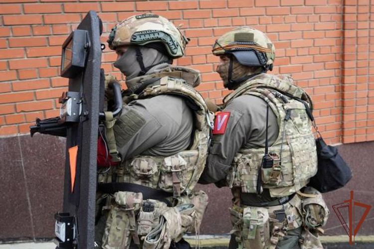 Подозреваемые в кражах денег со счетов участников СВО задержаны при силовой поддержке спецназа Росгвардии во Владимирской области 