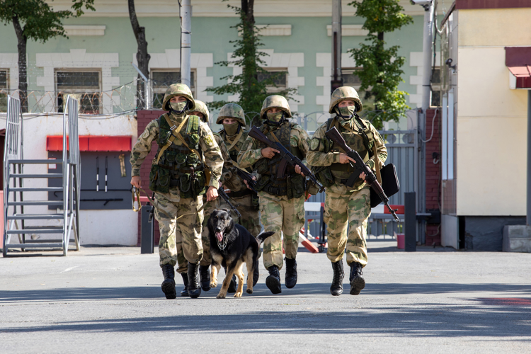 Под надёжной защитой. Фотоальбом.