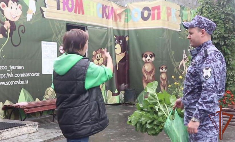 Ведомственная акция «Росгвардия – войска мира и добра» проходит в Тюменской области
