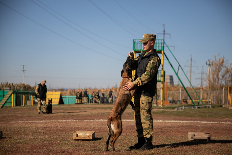 От щенка до боевого товарища. Фотоальбом