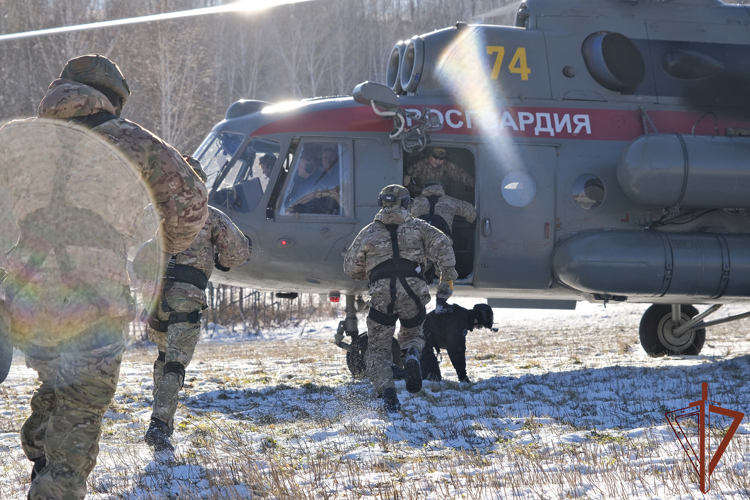 Тренировку по беспарашютному десантированию с вертолета провели спецподразделения Росгвардии в Республике Алтай