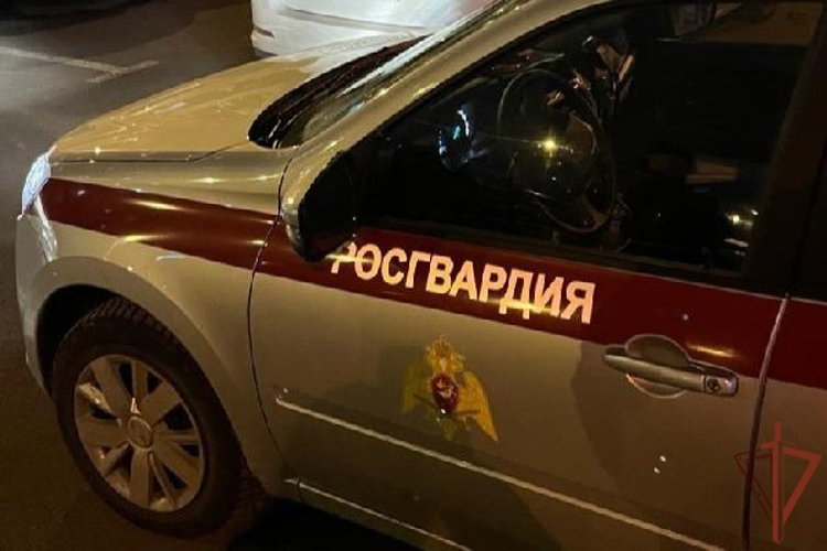 Наряд Росгвардии задержал хулигана, бившего машины возле петербургского отеля