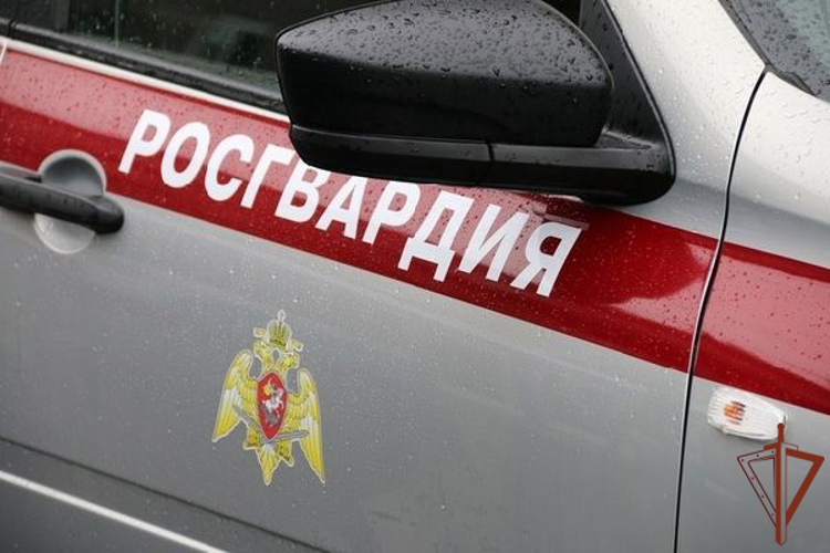 Росгвардейцы задержали нетрезвого водителя, совершившего ДТП в Санкт-Петербурге