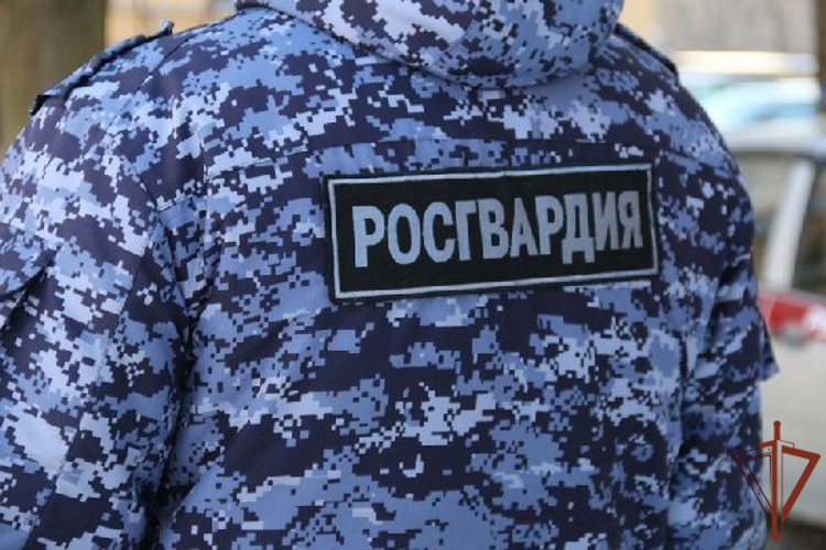 В Москве мужчину с фальшивыми документами задержали росгвардейцы (видео)
