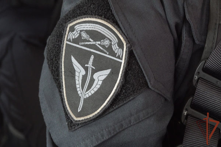 В Подмосковье при силовой поддержке ОМОН «Пересвет» задержаны подозреваемые в серии мошенничеств (видео)