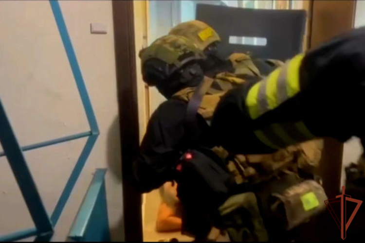 В Подмосковье при силовой поддержке СОБР Росгвардии задержаны подозреваемые в краже строительной техники (видео)