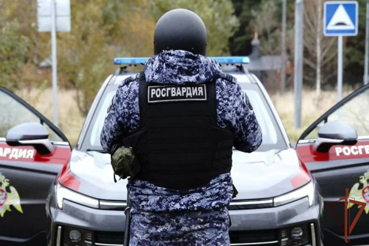 Сотрудники Росгвардии задержали бросавшего емкости с горючей смесью на территорию детского сада мужчину