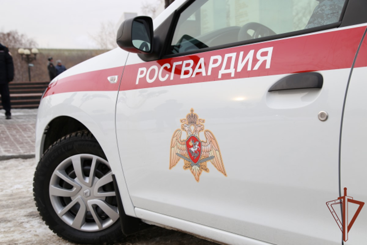 В Челябинске росгвардейцы задержали женщину, подозреваемую в краже смартфонов 